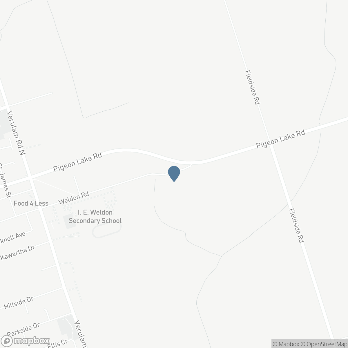 87 WELDON ROAD, Lindsay, Ontario K9V 4R6